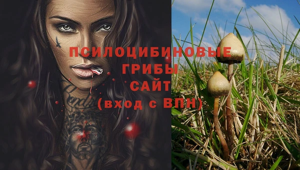 ALPHA PVP Абдулино