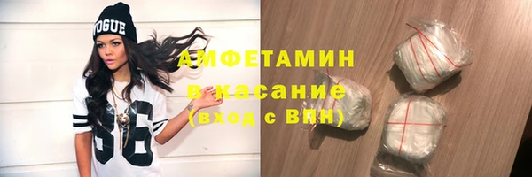 стафф Алзамай