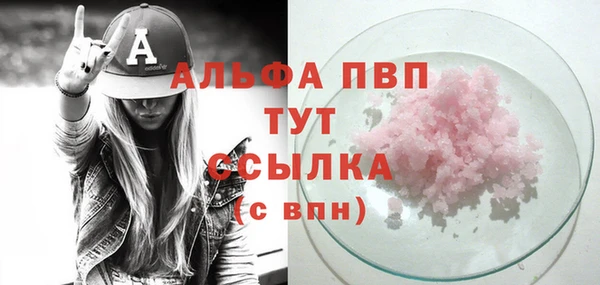 стафф Алзамай
