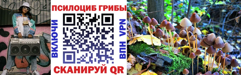 магазин  наркотиков  Дедовск  Псилоцибиновые грибы Magic Shrooms 