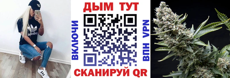 Бошки марихуана Amnesia  мега ТОР  Дедовск 